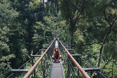 Hanuman World Zipline & Skywalk Phuket - Choosing your package: A+, B+, C+, D+, D, or straight ziplining