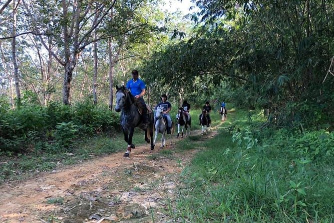 Horseback Riding 1 hour trail - The Trail Plan: Rubber Plantation, Orchard Paths, Then Up for Sea Views