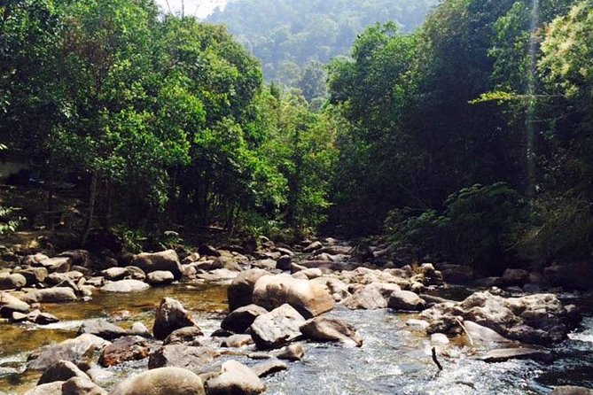 James Bond Island Sightseeing Tour by Longtail Boat from Phuket - Should you book? My straight answer