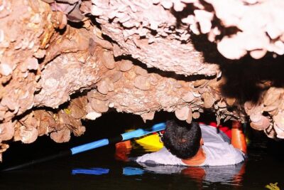 John Gray's Adventure Hong by Starlight in Phang Nga Bay - Pickup and timing: a 11:30am start that turns into an 11-hour night