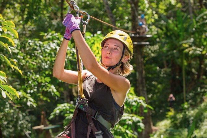 Jungle Xtreme Adventures and Zipline - Price and Value: What $48.88 Buys You in Real Life