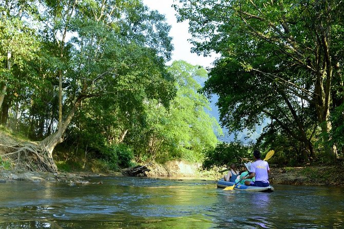 Khao Sok Adventure: Jungle Safari in Thailand’s Oldest Rainforest - Price and value: is $252.92 worth it?