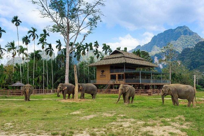 Khao Sok National Park Jungle Safari Full Day Tour from Phuket - Lunch at the jungle lodge: the midday reset you’ll be thankful for