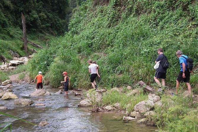 Khao Sok National Park Jungle Safari Full Day Tour from Phuket - What to bring (and what not to stress)