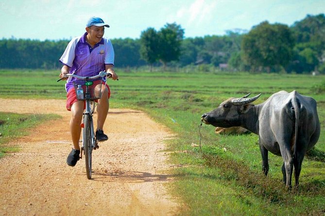 Koh Yao Noi Full Day Tour with Bike Ride & Lunch - Quiet Koh Yao Noi: a different pace from Phuket