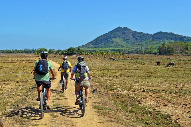 Koh Yao Noi Full Day Tour with Bike Ride & Lunch - Midday beach picnic: where the day slows down