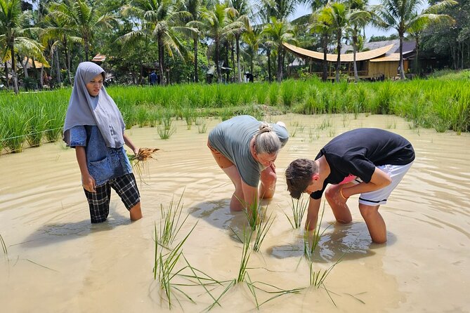 Old Phuket Farm Ticket - Countryside Local Life Culture - The Guide and Group Experience That Makes It Feel Worth It