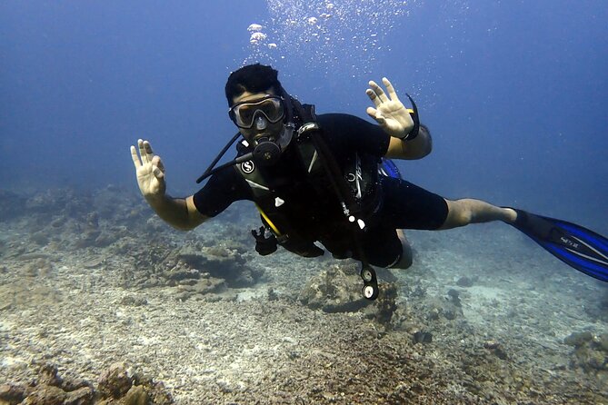 PADI Discover Scuba 2 Times Diving Phuket - Price and Value: What $220.25 Covers (and What It Means)