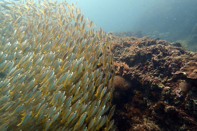 PADI Discover Scuba 2 Times Diving Phuket - Weather and Change Reality: Plan for the Sea