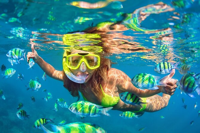 Phi Phi & Bamboo Islands Snorkeling Tour with Lunch by Speedboat - Price and What You Actually Get for $129
