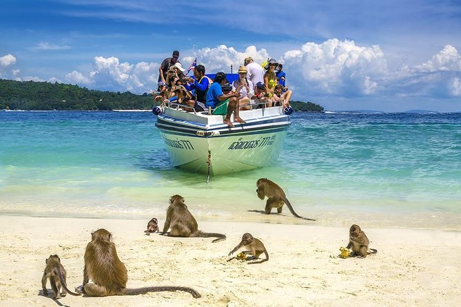 Phi Phi Island from Phuket by Speedboat (SHA Plus) - Phi Phi Don: lunch that doesn’t steal your day