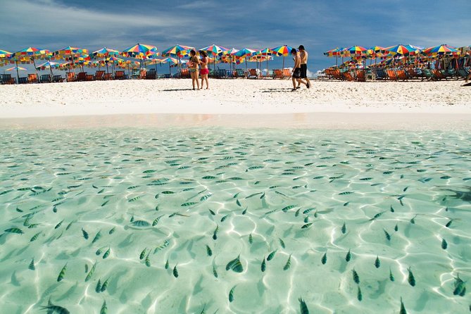 Phi Phi Island from Phuket by Speedboat (SHA Plus) - Food, snorkel gear, and the included fees that prevent surprise costs