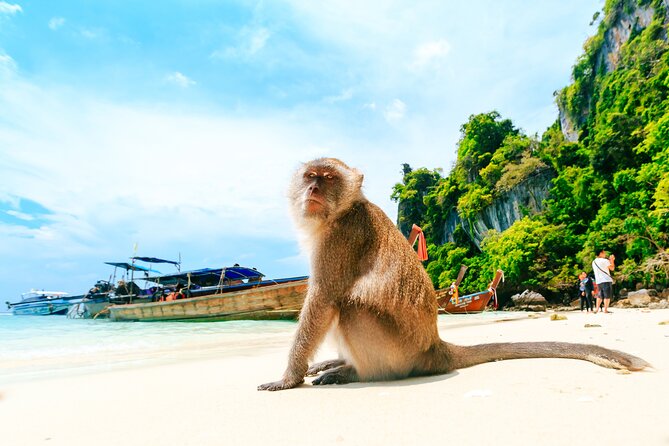 Phi Phi, James Bond & Krabi Overnight - Exclusive 2D1N - Phi Phi Don Nightlife: Fire Shows and Muay Thai With a Guide