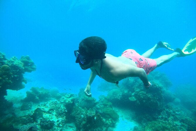 Phi Phi & Khai Islands Speedboat Tour from Phuket with Snorkeling - Key things I’d circle before you book