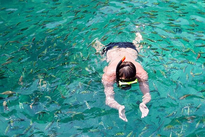 Phi Phi, Maya Bay, Bamboo by Private VIP boat - Monkey Beach: a quick wildlife stop (and how to handle it)
