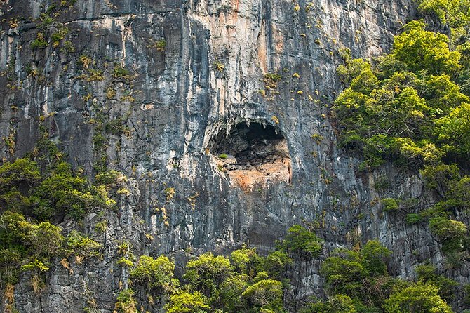 Phi Phi, Maya, Khai and Pileh Day Trip by Speed Catamaran From Phuket - Ko Phi Phi Le and Monkey Bay: longer water time and the snorkeling payoff