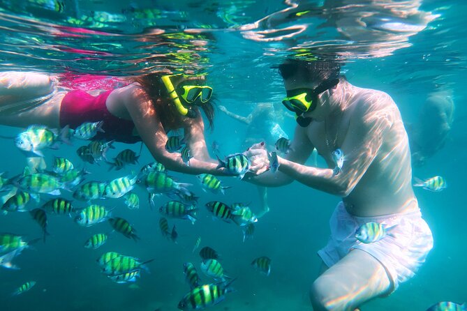 Phuket 3 Khai Island Speedboat With Snorkeling (Half or Full Day) - Picking half-day (morning/afternoon) vs full day: the crowd and timing game