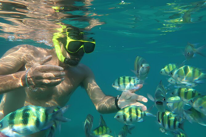 Phuket 3 Khai Island Speedboat With Snorkeling (Half or Full Day) - Khai Nok Island: pristine sand plus first snorkel chances