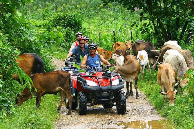 Phuket ATV Seaview On Tour - Views and photo stops: Andaman Sea moments, plus time reality