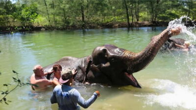 Phuket: Bamboo Rafting & ATV Ride (Optional) - Sea Turtle Conservation Centre: why this stop matters