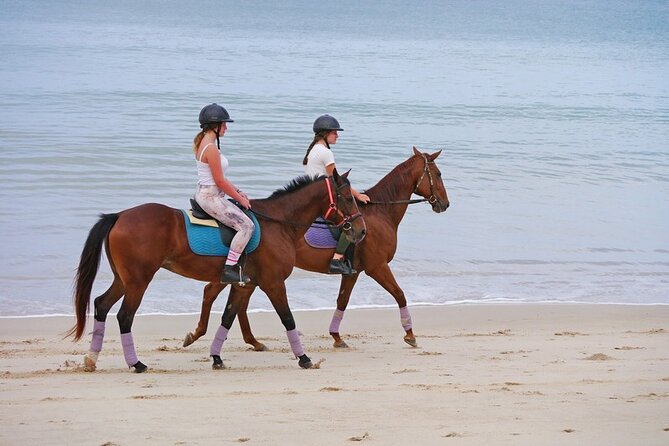 Phuket Beach and Horse Rides 1 Hour Experience - A 1-Hour Beach Ride From Kamala Horse Riding Club