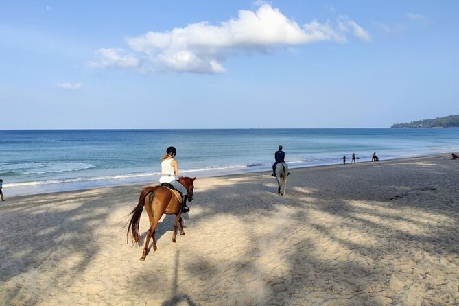 Phuket Beach and Horse Rides 1 Hour Experience - The Post-Ride Routine: Showering, Feeding, and Leaving Clean