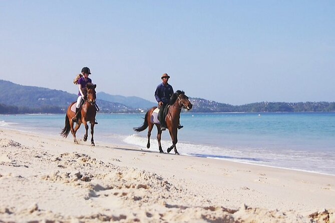 Phuket Beach and Horse Rides 1 Hour Experience - Price and Value for a $44.97 Phuket Horse Ride