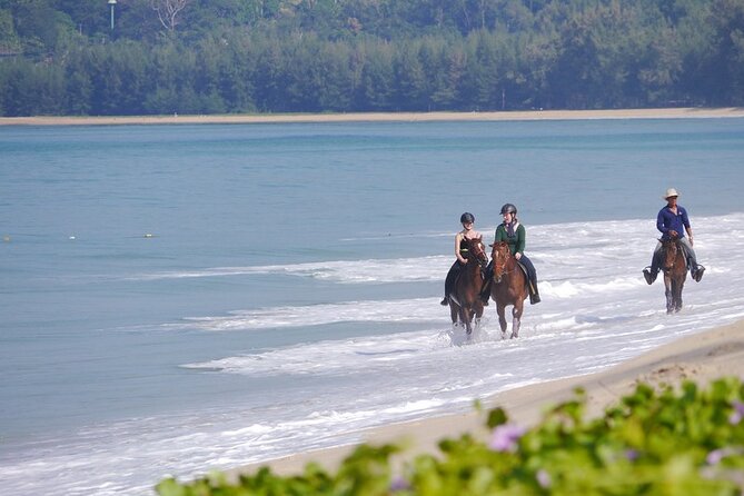 Phuket Beach and Horse Rides 1 Hour Experience - Who Should Book This Horseback Tour (and Who Might Skip It)