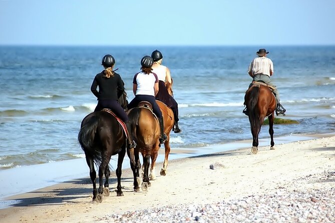 Phuket Beach and Horse Rides 1 Hour Experience - FAQ