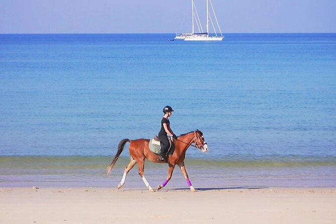 Phuket Beach and Horse Rides 1 Hour Experience - Meet Your Horses: Safety Briefing, Helmet, and Control Rules