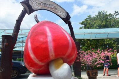 Phuket City Tour: Wat Chalong, Big Buddha and Landmark - Getting pickup right: Patong doors, Jungceylon meet-up, and why it matters