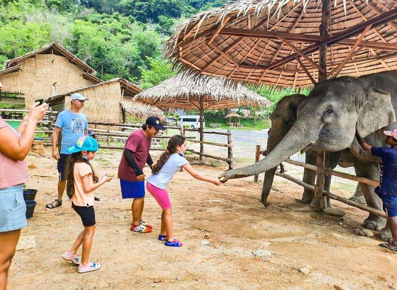 Phuket City Tour with Viewpoints, Temples & Elephant Feeding - Key highlights to know before you go