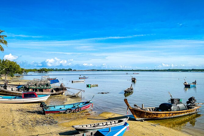 Phuket Coast to Coast Cycling Tour | Half Day Tour - The Big Views: Phang Nga Bay and the Stops You’ll Remember