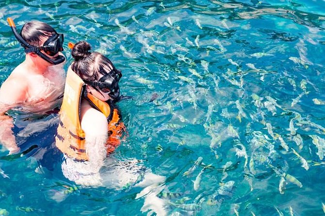 Phuket Dolphin Quest: Racha & Maiton Island Expedition - Ko Racha Yai: the island-hopping star for coral and color