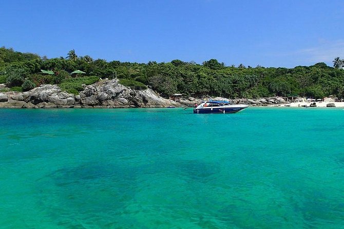 Phuket Dolphin Quest: Racha & Maiton Island Expedition - Who should book this (and who should skip it)