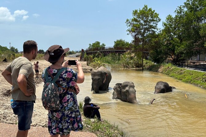 Phuket: Elephant Nature Walk - Guided Tour with Transport - The mud spa walk: why elephants roll (and what to wear)