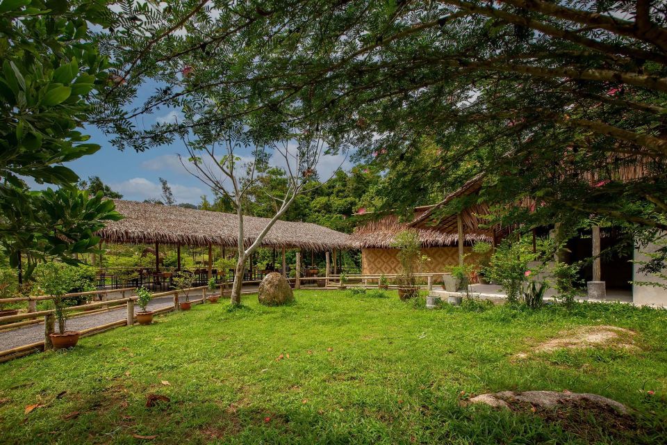 Phuket: Elephant Sanctuary Guided Tour with Hotel Transfers - The sanctuary setting: why it feels calm and not staged