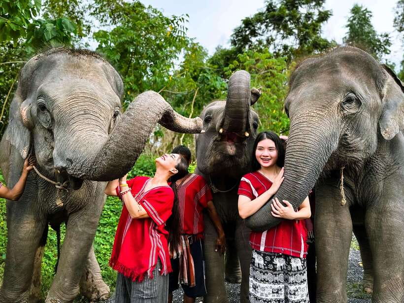 Phuket : Experience feeding and bathing elephants 1.5 Hrs. - Key highlights to zero in on