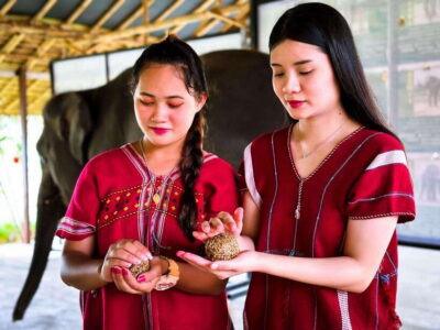 Phuket : Experience feeding and bathing elephants 1.5 Hrs. - The schedule: pickup timing, camp arrival, and how long you’re actually in the fun part