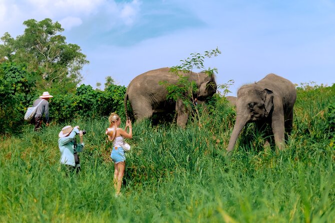 Phuket Guided Tour to Elephant Sanctuary with Hotel Transfers - Entering Phuket’s Hill Tribe Elephant Village the right way