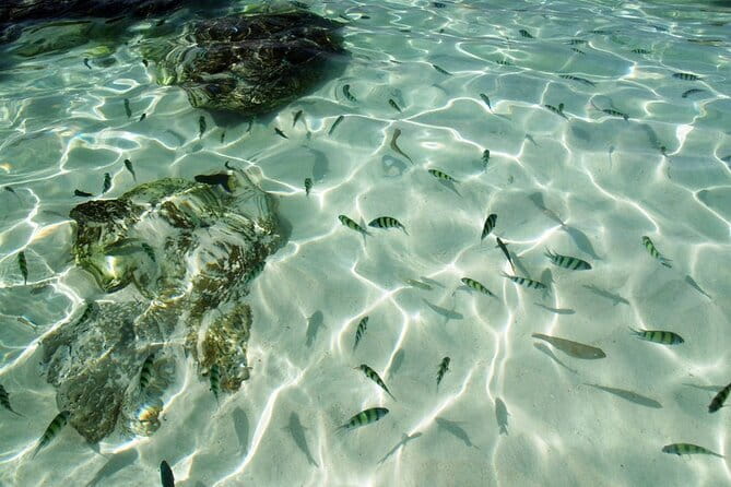 Phuket: Half Day Khai Islands by Speedboat - Speedboat Rhythm From AA Marina: What Your Day Actually Feels Like