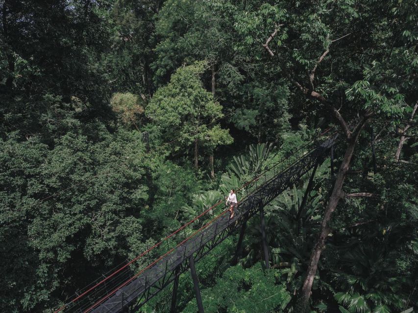 Phuket: Hanuman World Zip Line Adventure - Why Hanuman World feels like a real treetop course