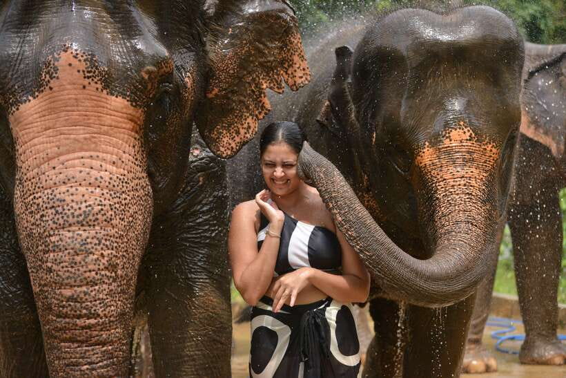 Phuket: Happy Hour Feed and Rain Shower with Elephant - The natural setting near the beach (without the sea part)
