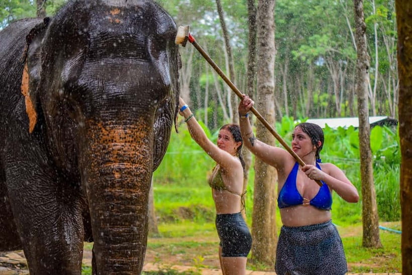 Phuket: Happy Hour Feed and Rain Shower with Elephant - Price and logistics: why the timing matters more than you think
