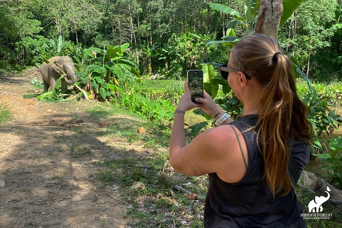 Phuket: Hidden Forest Elephant Reserve Guided Tour with Lunch - Arrival: refreshments, an intro video, and meeting the elephants (the right way)