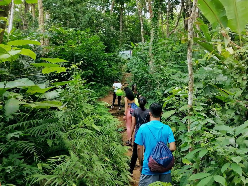 Phuket: Hiking to Sunrise - Fitness level and what to pack for a hill climb