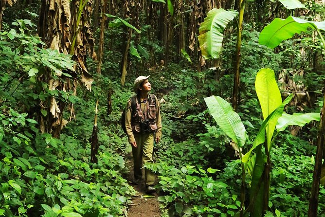 Phuket Jungle Trekking Experience at Khao Phra Taew National Park - Key highlights to look forward to