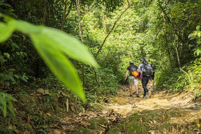 Phuket Jungle Trekking Experience at Khao Phra Taew National Park - Tonsai Waterfall and Khao Phra Taew: a Phuket rainforest day