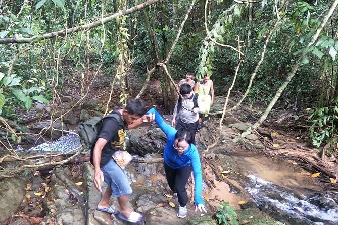 Phuket Jungle Trekking Experience at Khao Phra Taew National Park - Wildlife spotting: what you can reasonably watch for