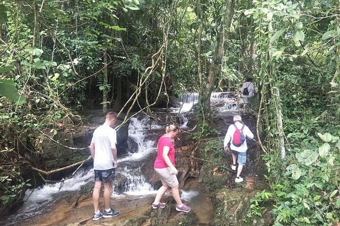 Phuket Jungle Trekking Experience at Khao Phra Taew National Park - Park fee, transfers, and what your $82.29 actually covers